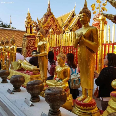 doi suthep 11