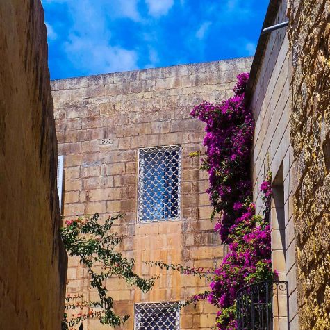 11 mdina