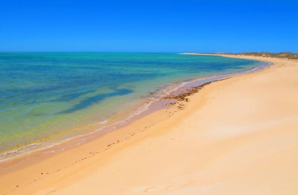 ningaloo