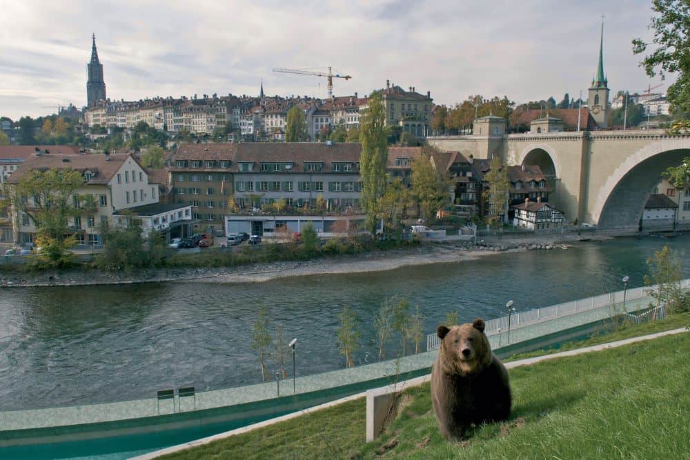 BärenPark