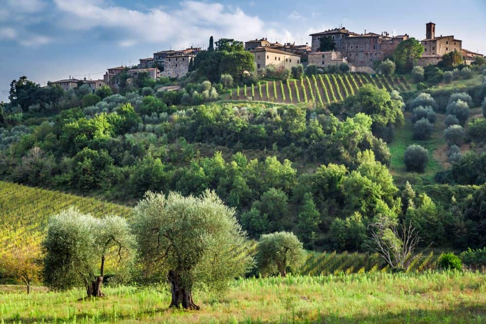 Montalcino 