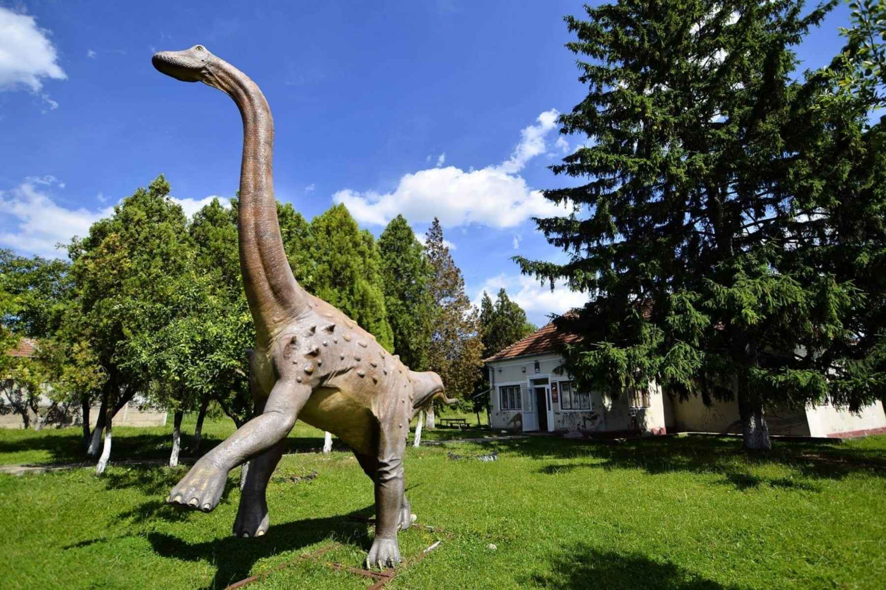 Geoparcul Dinozaurilor „Țara Hațegului”