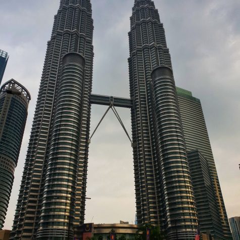 petronas towers 2