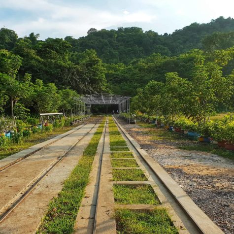 battambang train 1