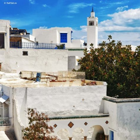 sidi bou said 24