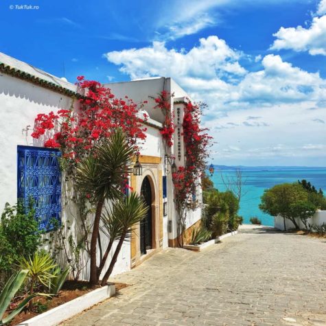 sidi bou said 44