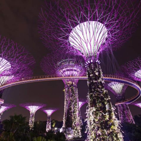 Gardens by the Bay