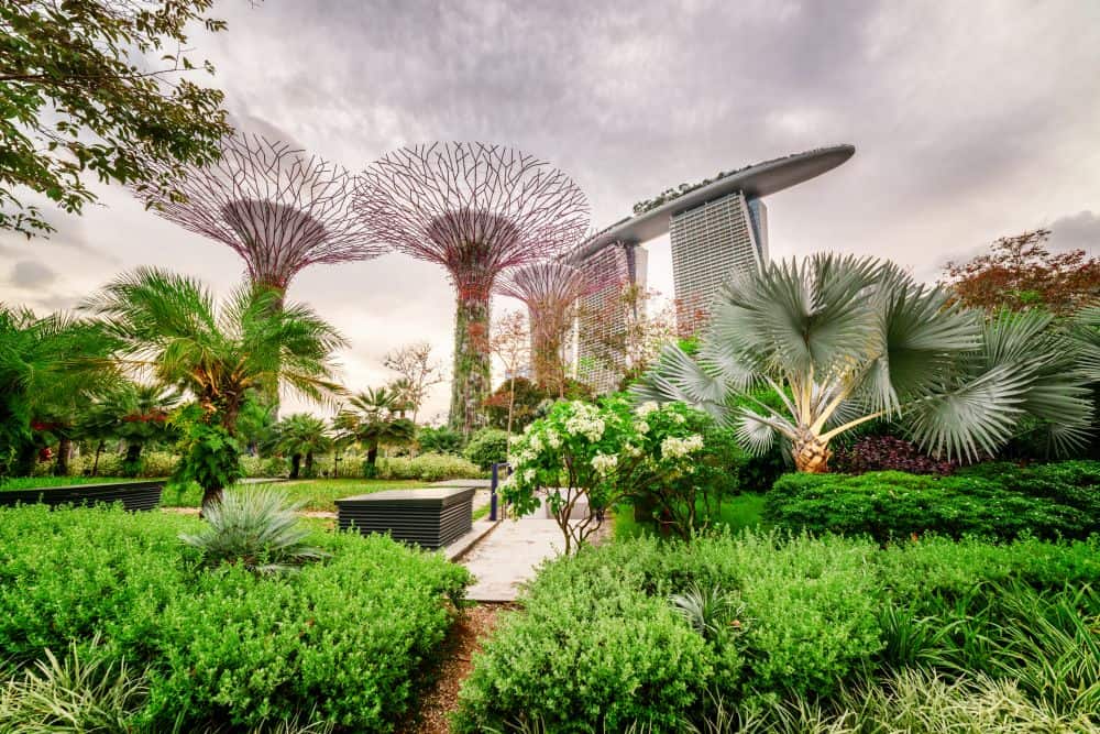 gardens by the bay