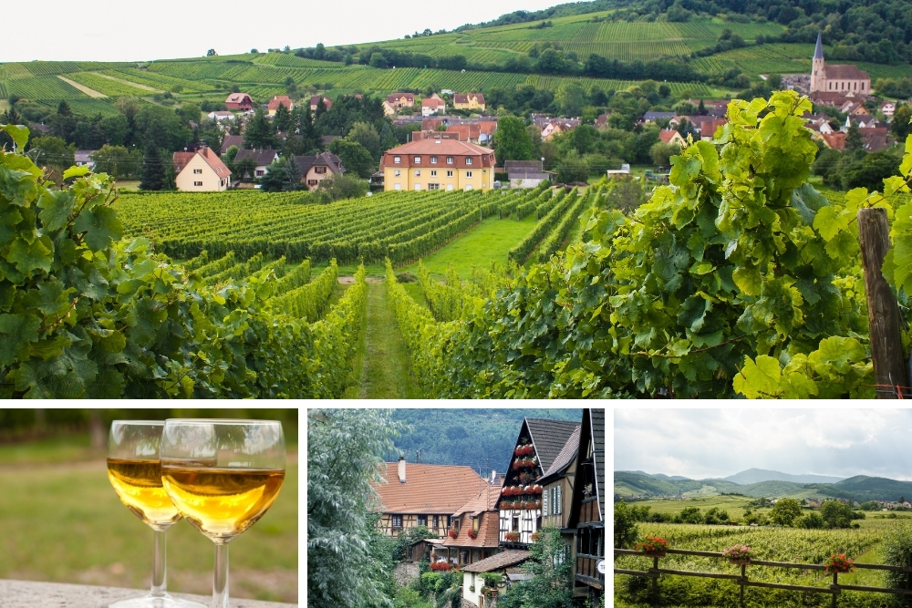 drumul vinului alsacian