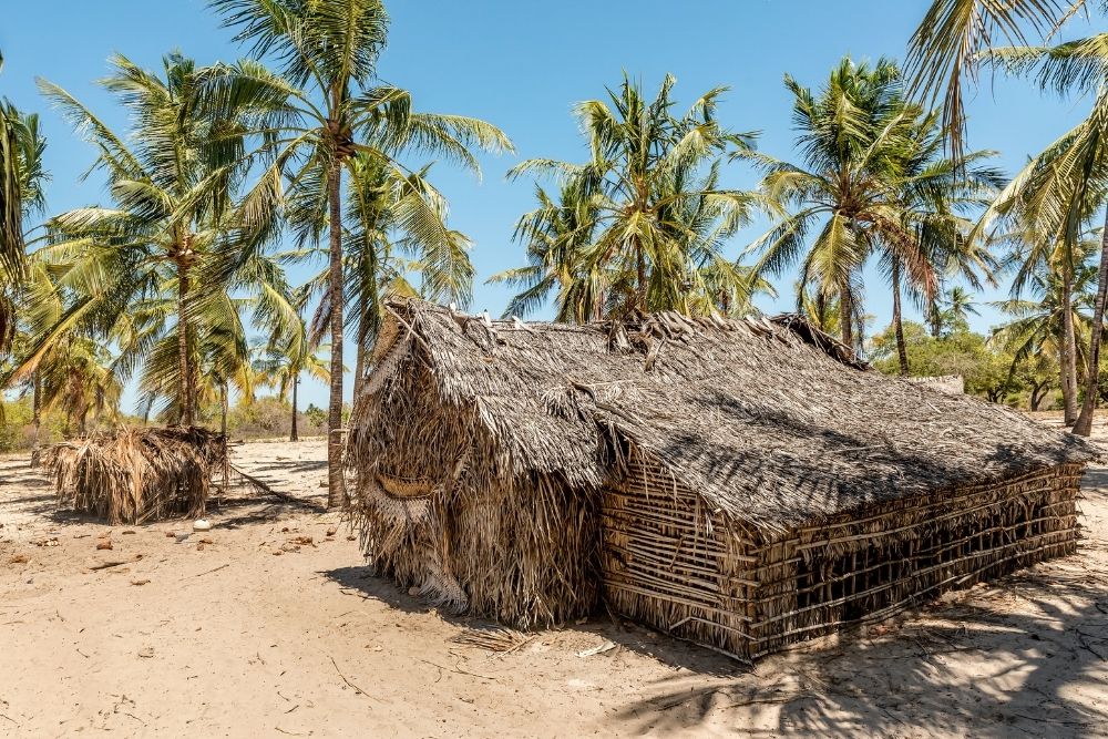 Insula Lamu 