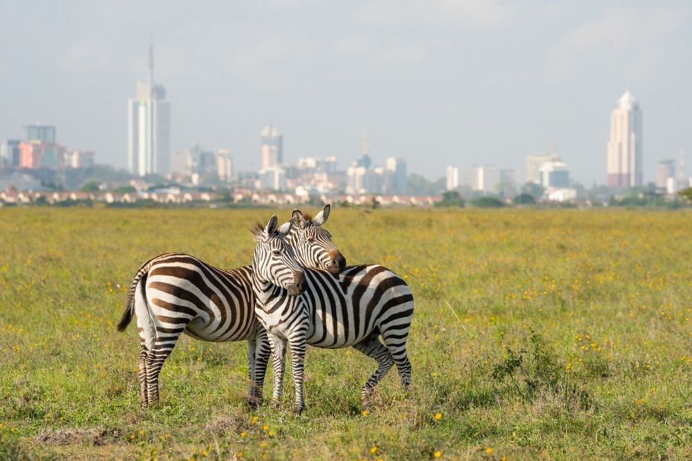 parcul national nairobi