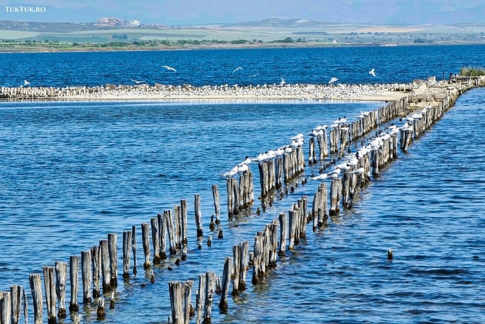 lacul Pomorie