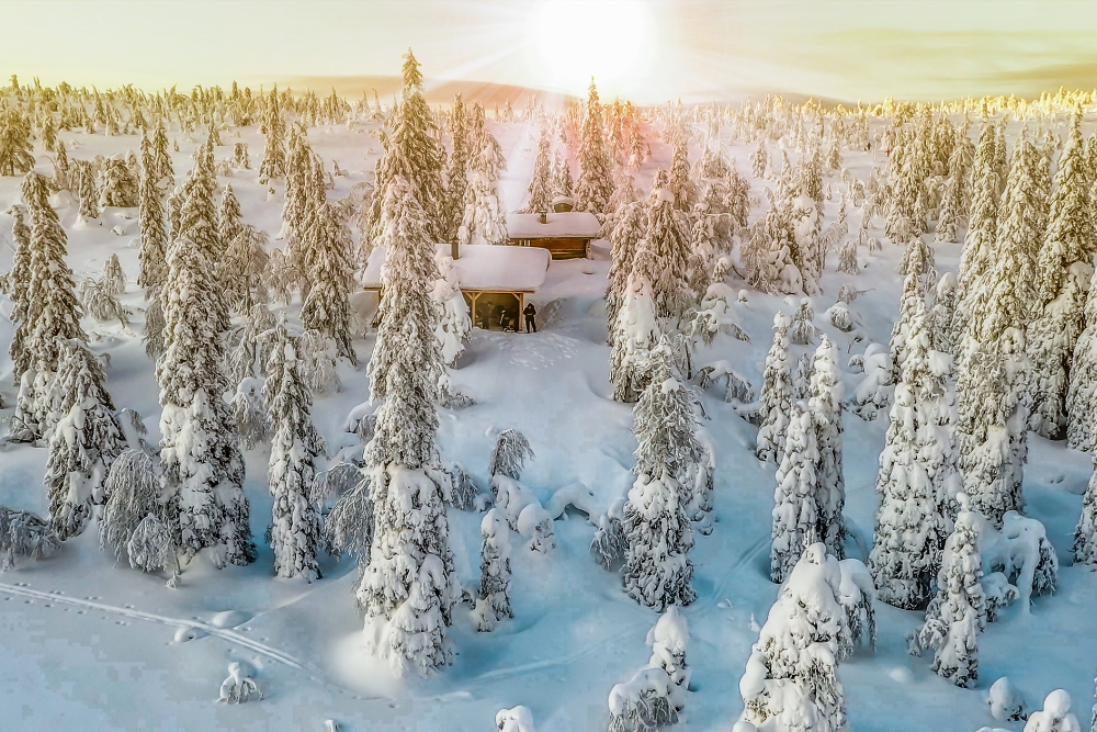 cabane laponia