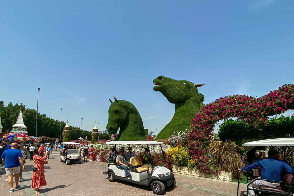 Cum să ajungi la Dubai Miracle Garden