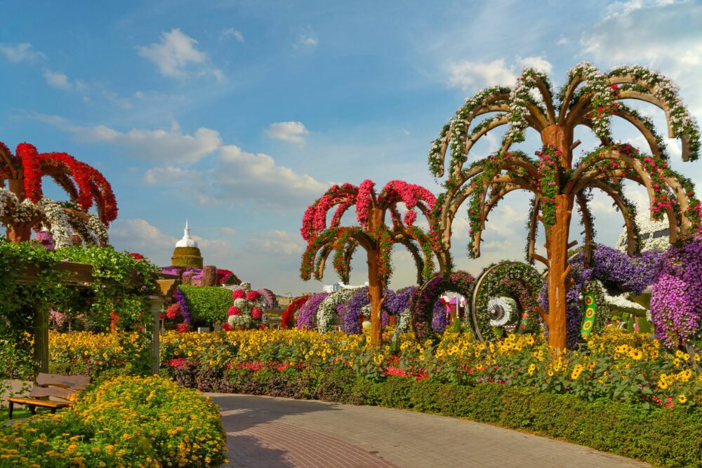 Cele mai frumoase atracții din Dubai Miracle Garden: