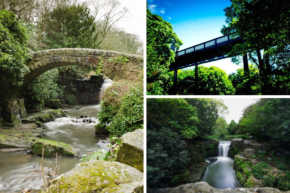 Jesmond Dene Park