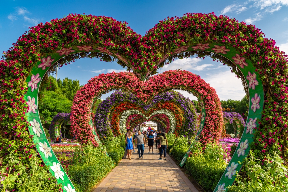 cum să vizitezi Dubai Miracle Garden