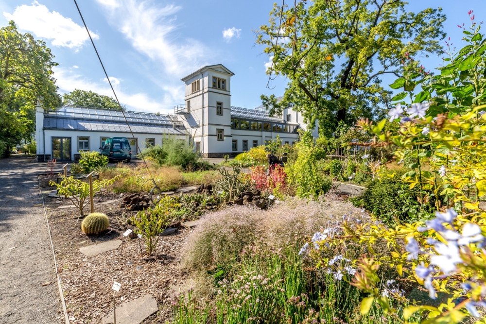 Grădina Botanică din Leipzig