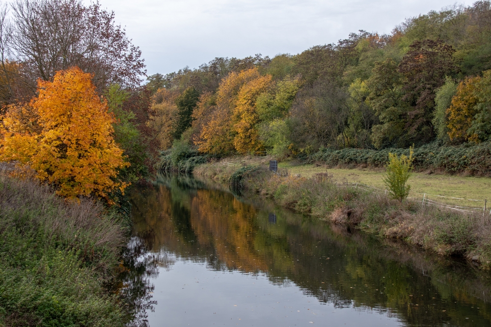 Pădurea Leipziger Auenwald