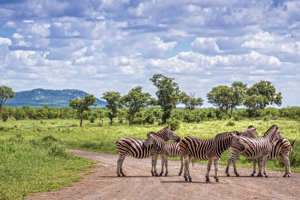 Kruger National Park