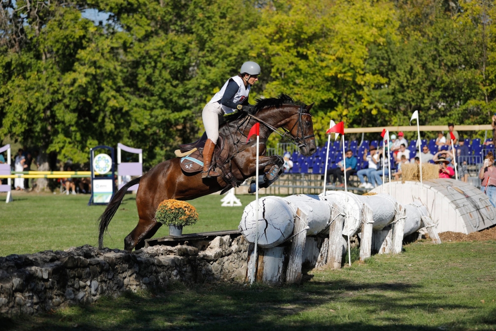 Karpatia Horse Show (1)