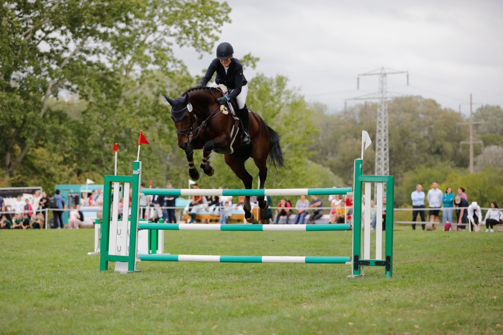 Karpatia Horse Show (3)