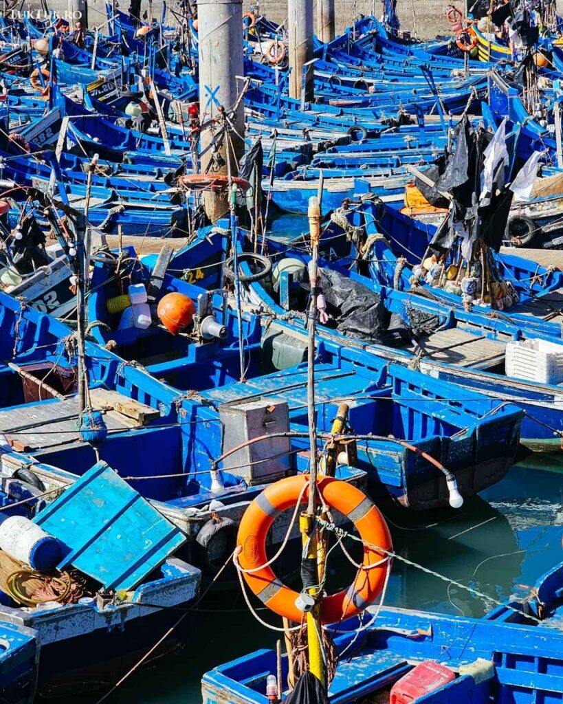 Portul din Essaouira