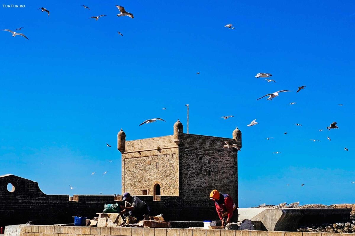 Essaouira