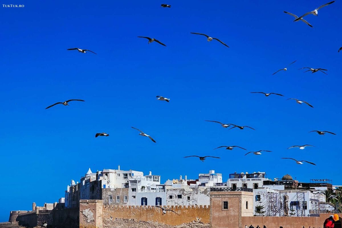 Essaouira