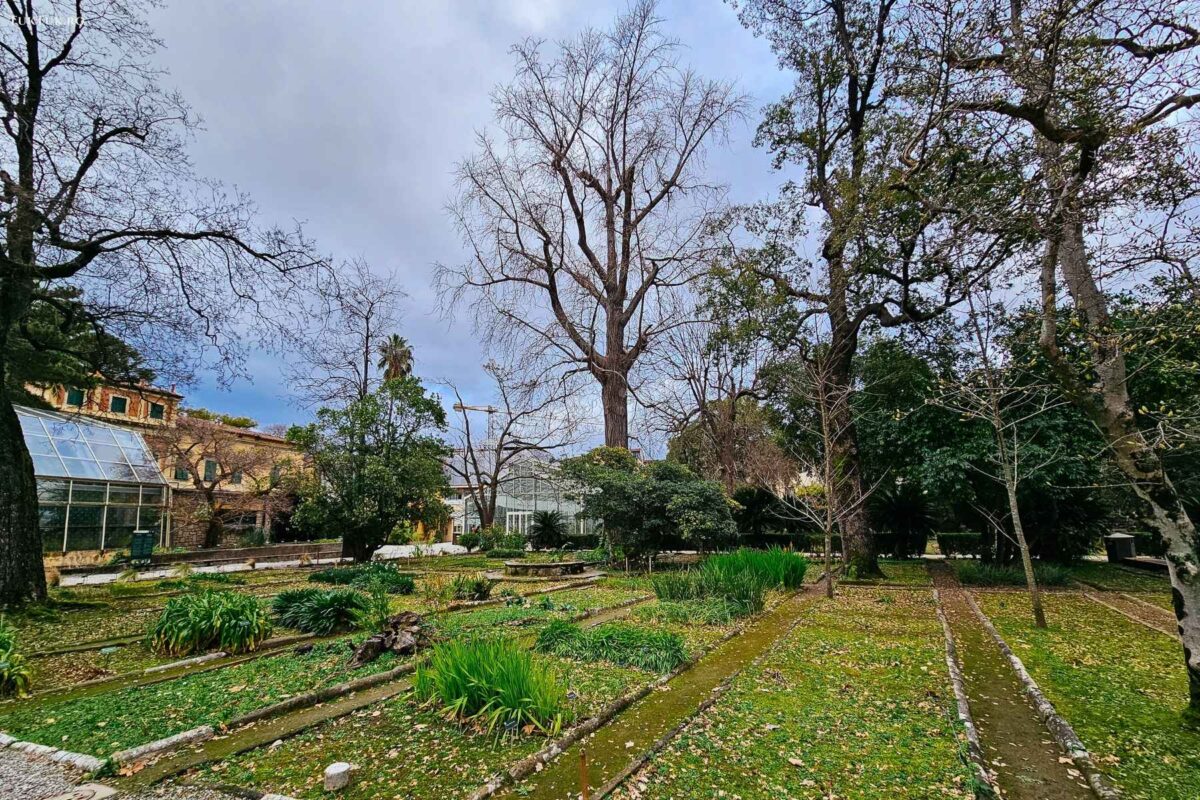 Orto Botanico din Pisa 